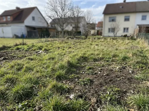 Garten vorher